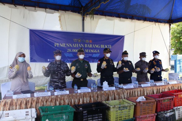 Mangga Ilegal dari Thailand Bernilai Rp521 Juta Diklaim Pemerintah