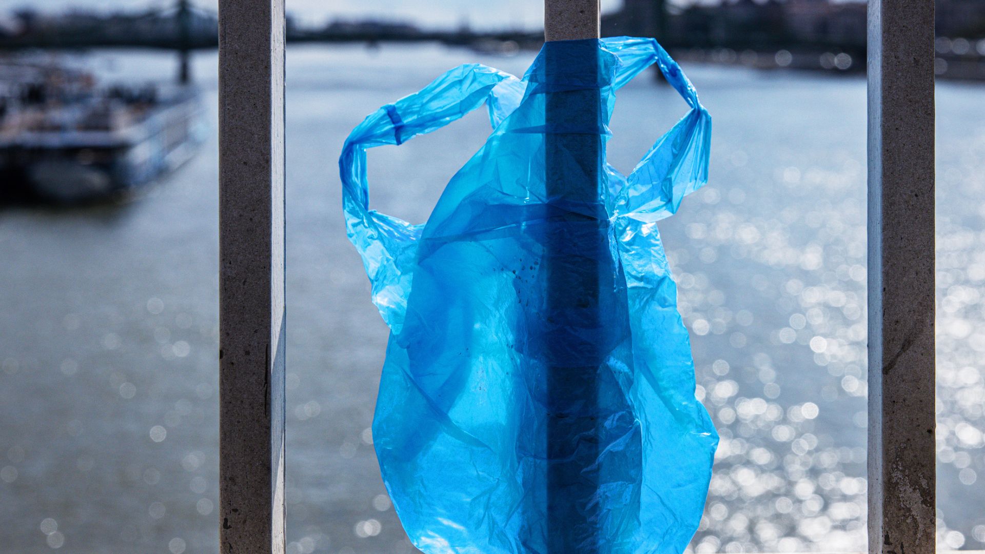 After 14 Years, Police Arrest Woman Who Allegedly Wrapped Baby In