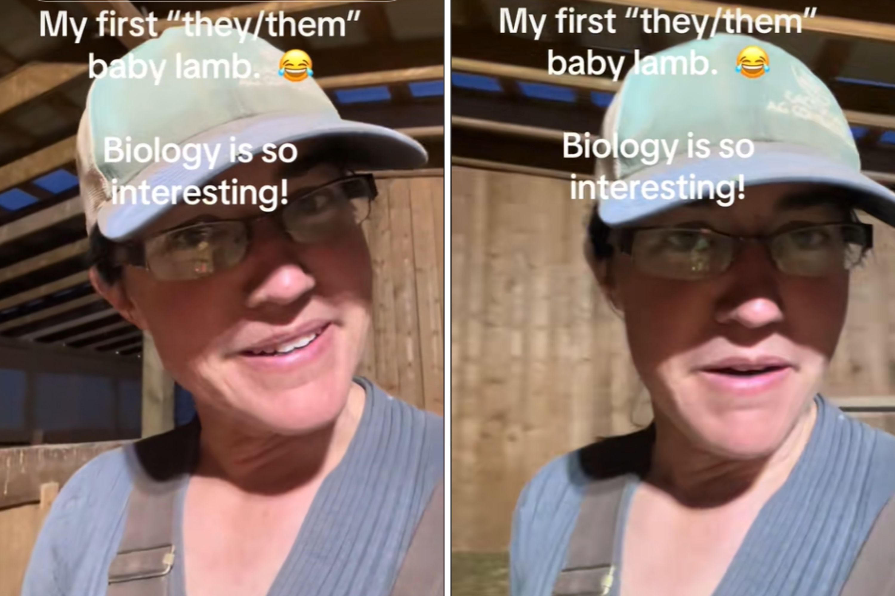 Colorado Rancher Talks All About Her First 'They/Them Baby Lamb'