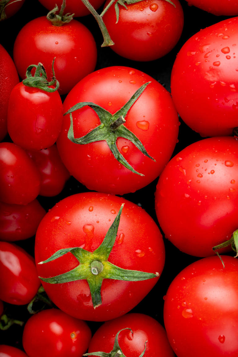Un tomate crudo, dice la EOL, contiene un 95% de agua, 4% de carbohidratos y menos de un 1% de grasa y proteína comestible. Foto: Freepik.