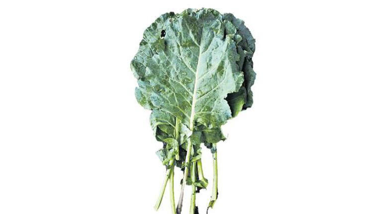 Vücutta yağ yakan 4 gıda