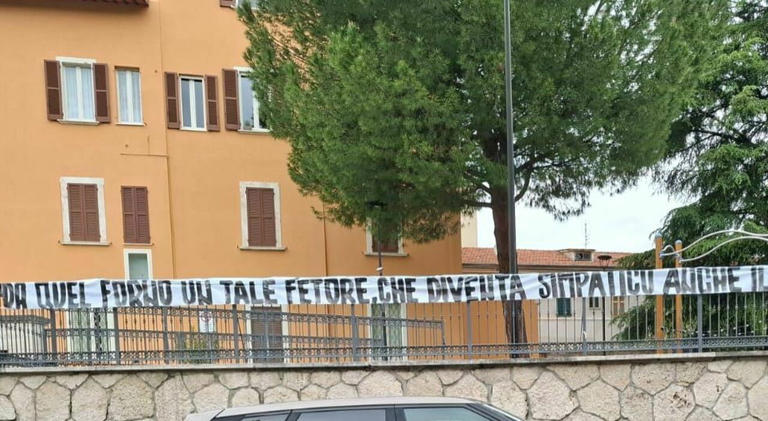 AA1DHw4i.img?w=768&h=421&m=6