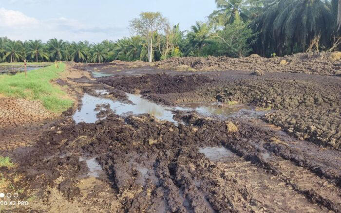 Profepa ordena clausura temporal a empresa Oleopalma descargas residuales