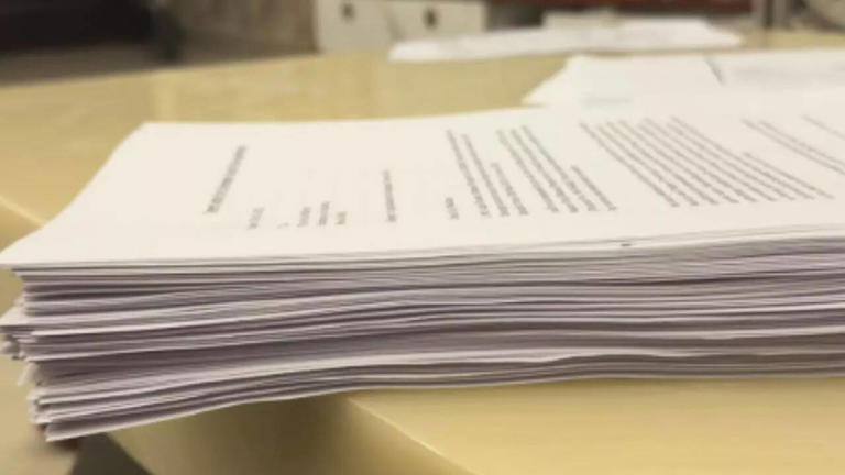 Indian CEO's 400-page Schengen visa application stack goes viral online; netizens find it relatable
