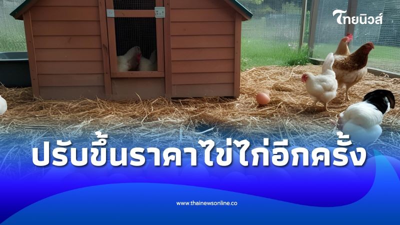 .ไข่ไก่เตรียมขยับราคา อีกครั้ง เหตุผลหลัก 