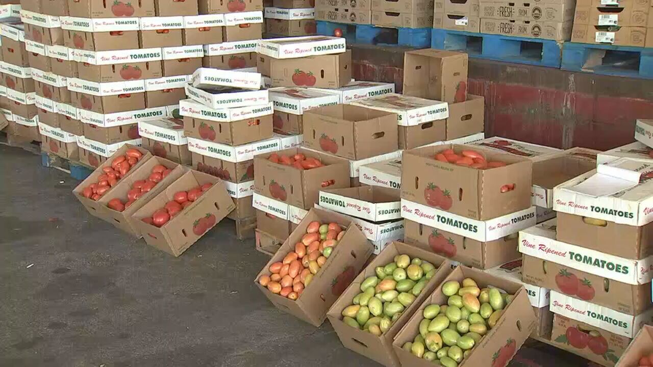 Georgia launches first-ever interactive “You-Pick” farm map