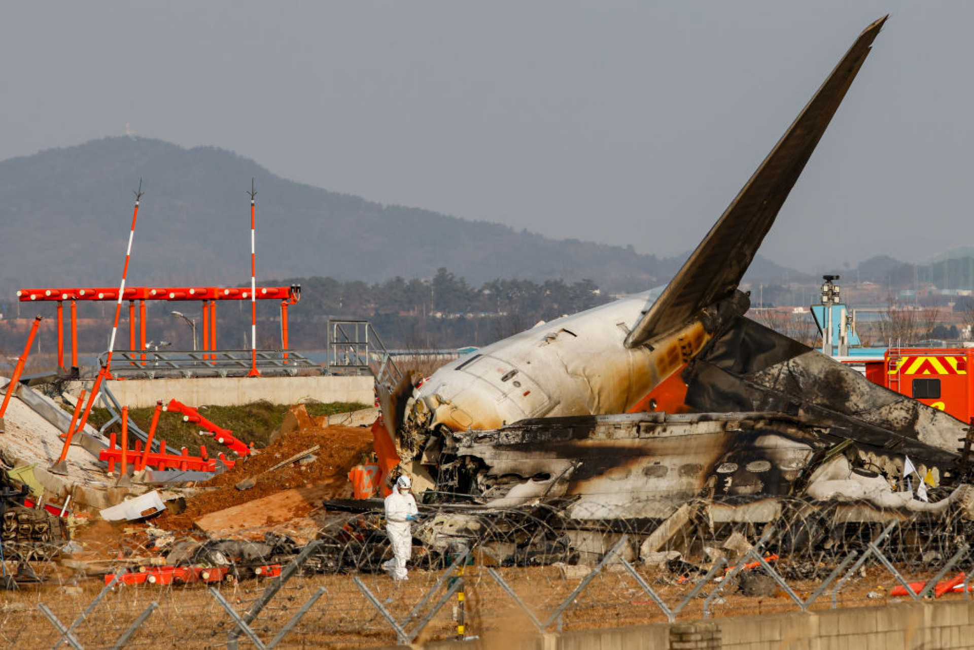 Bird strikes: the hidden risk to air travel