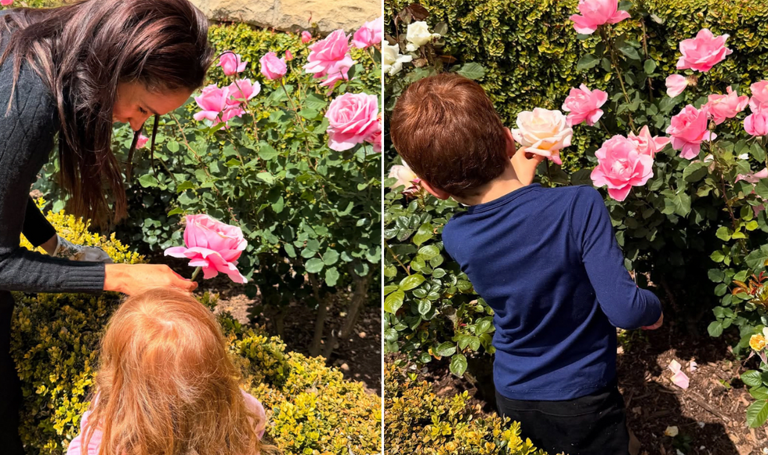 Archie and Lilibet at 'two different schools', Meghan confirms in rare  update