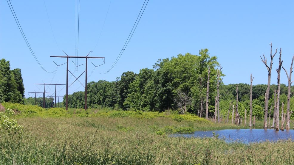 PSEG plans file additional lawsuits amid transmission fight, residents