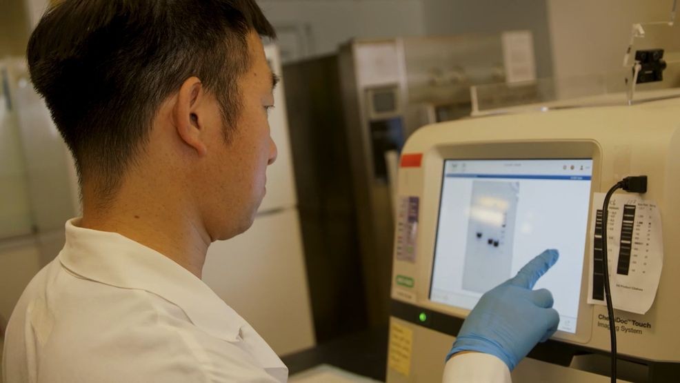 Seattle Children's and WSU launch $300K pilot program to boost ...