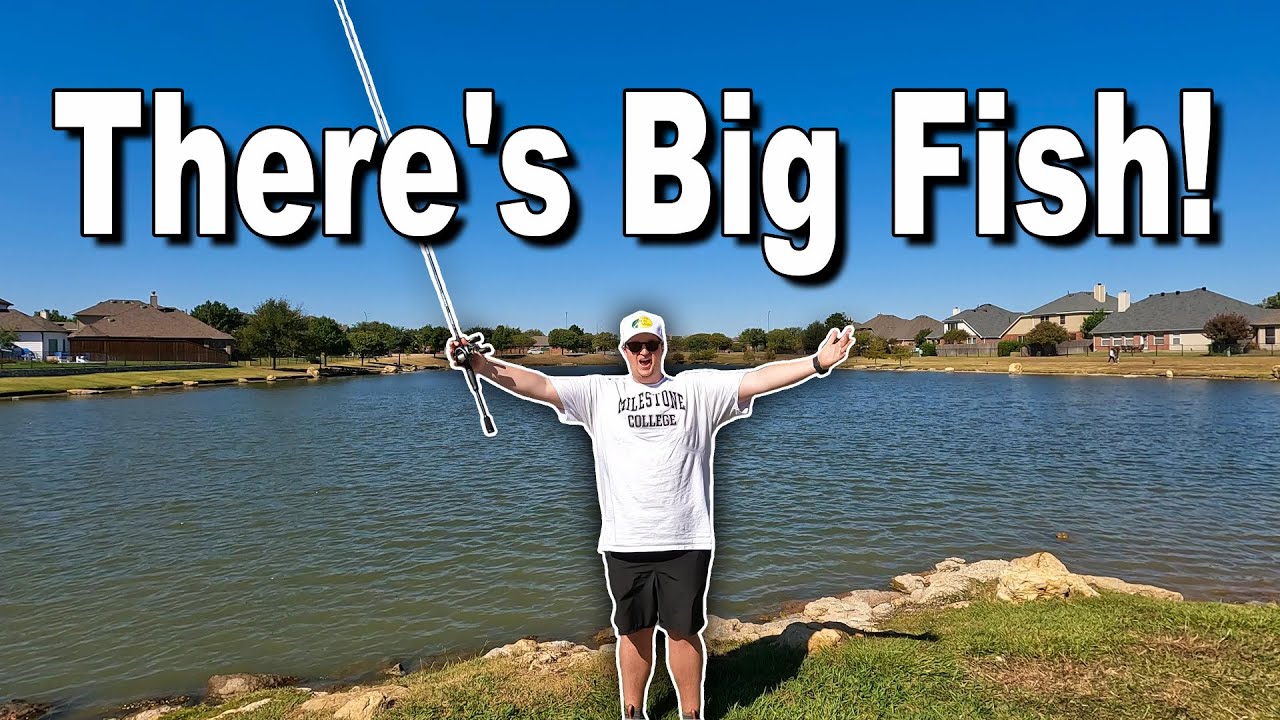 Fresh Water Ep.5 - Fishing Fort Worth Pond surprises me with Big Bass!