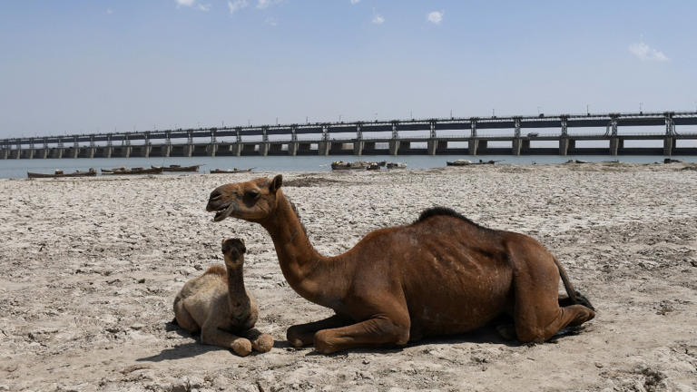 Forget Indus waters, Pakistan Army and govt have huge canal crisis at home