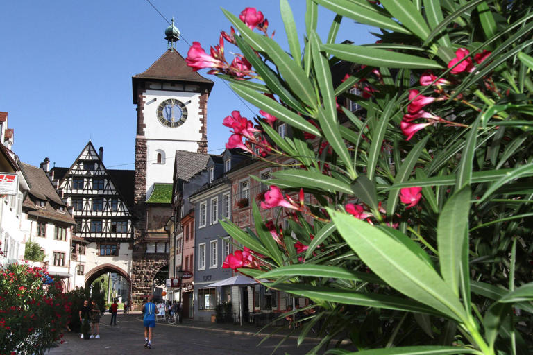 Schöne Städte Schwarzwald