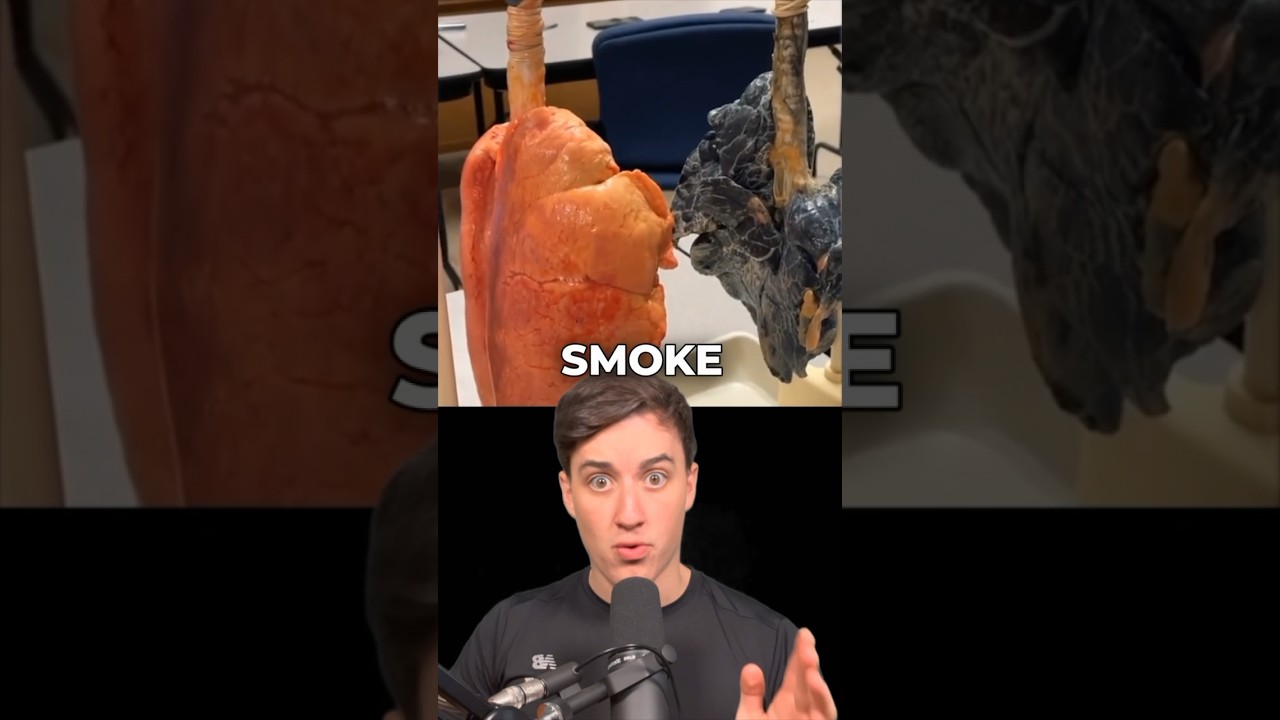 The dangerous effects of smoking backed by research