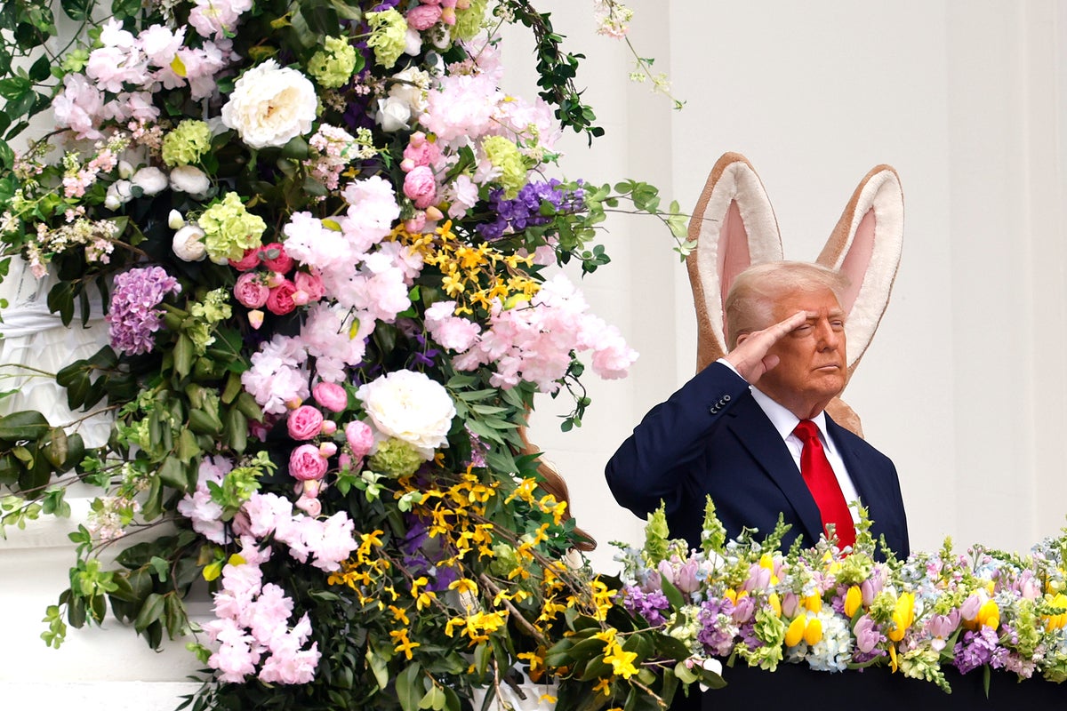 ‘Wow! Everything’s computer!’: The most eyebrow-raising moments of ...