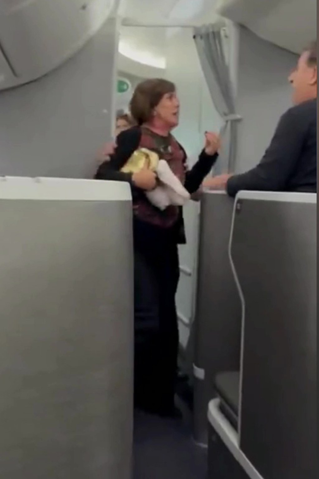 Shocking video shows American Airlines passenger trying to barge into
