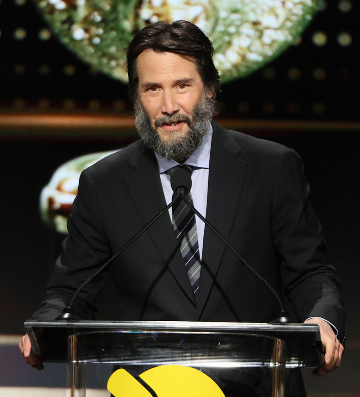 Don’t or Doesn’t intelligence overview