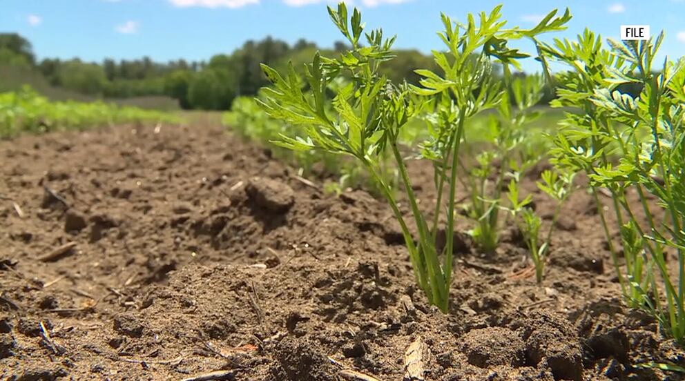 Governor Mills signs PFAS response bill