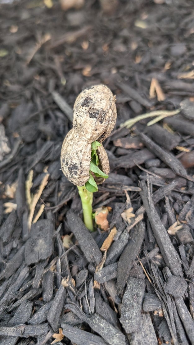 My mind got blown after seeing these 25 incredible pictures for the first time