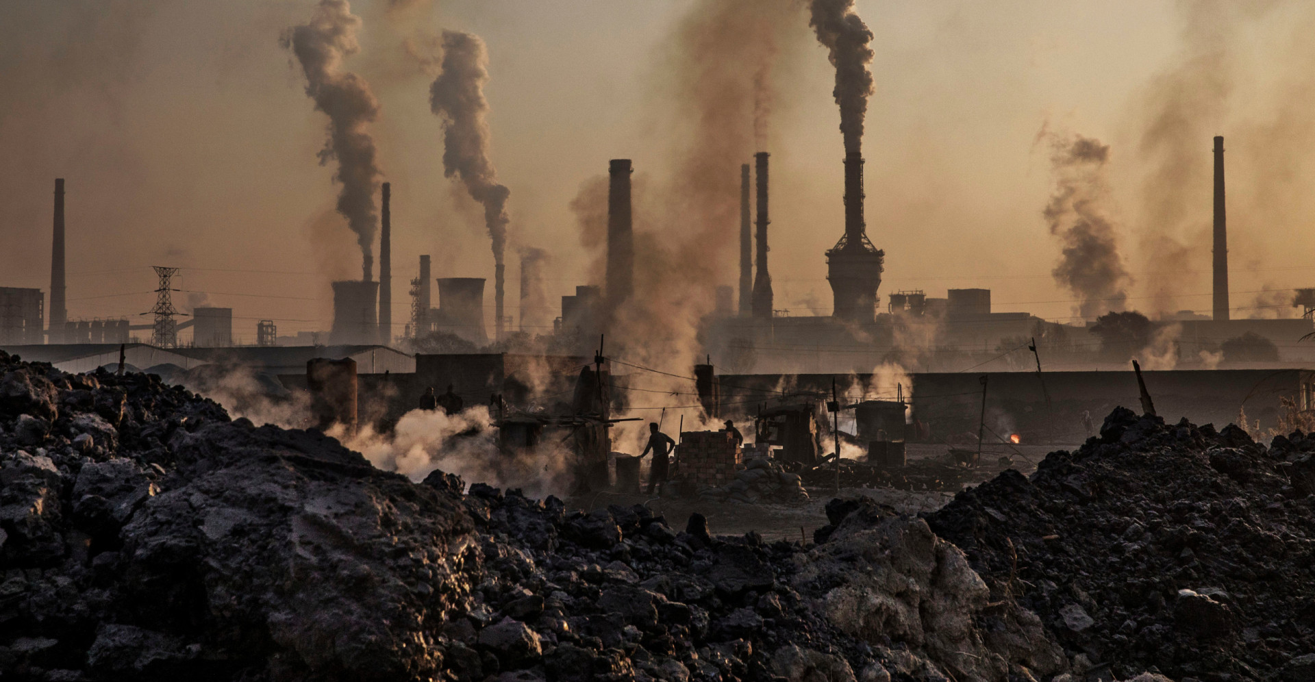 Are we in the middle of a mass extinction?