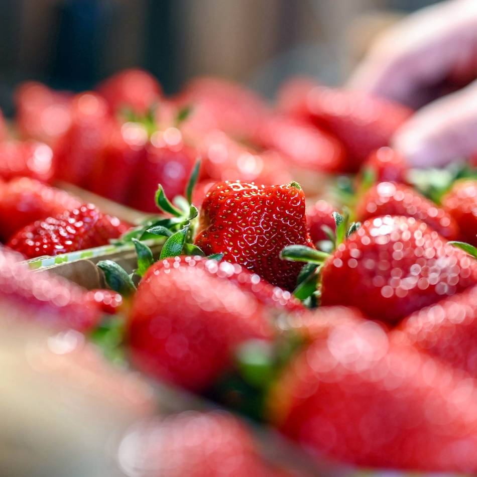 Diese Hofläden bieten frische Erdbeeren an