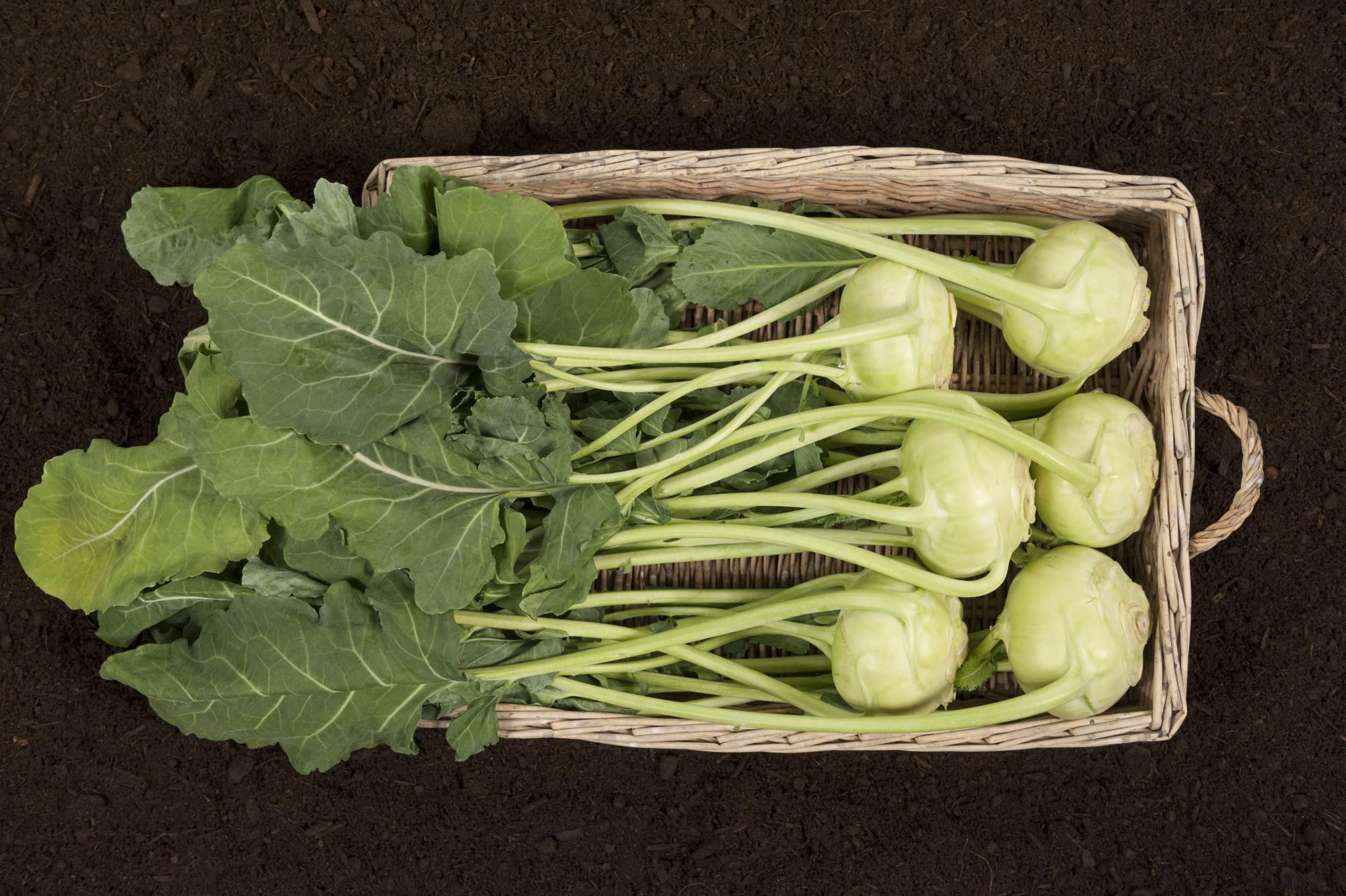 Vitaminbombe Kohlrabiblätter: Seit 500 Jahren beliebt in Österreich