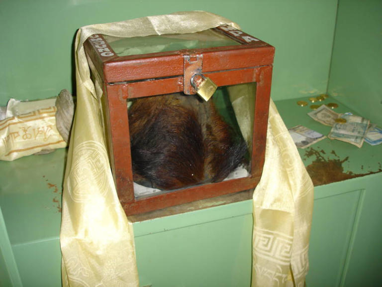 Alleged Scalp