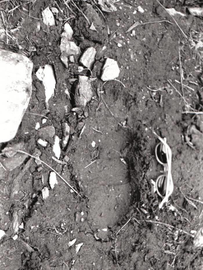 A photograph of a purported Yeti footprint taken by C. R. Cooke in 1944. Image Source: Public Domain