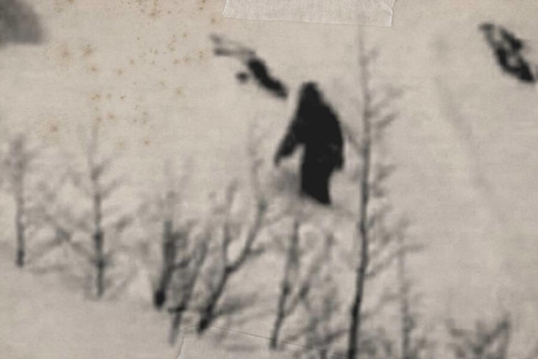 An alleged photograph of a Yeti taken by Richard Steinwinkler in May 1951. Image Source: Richard Steinwinkler/Adventure Club of Europe