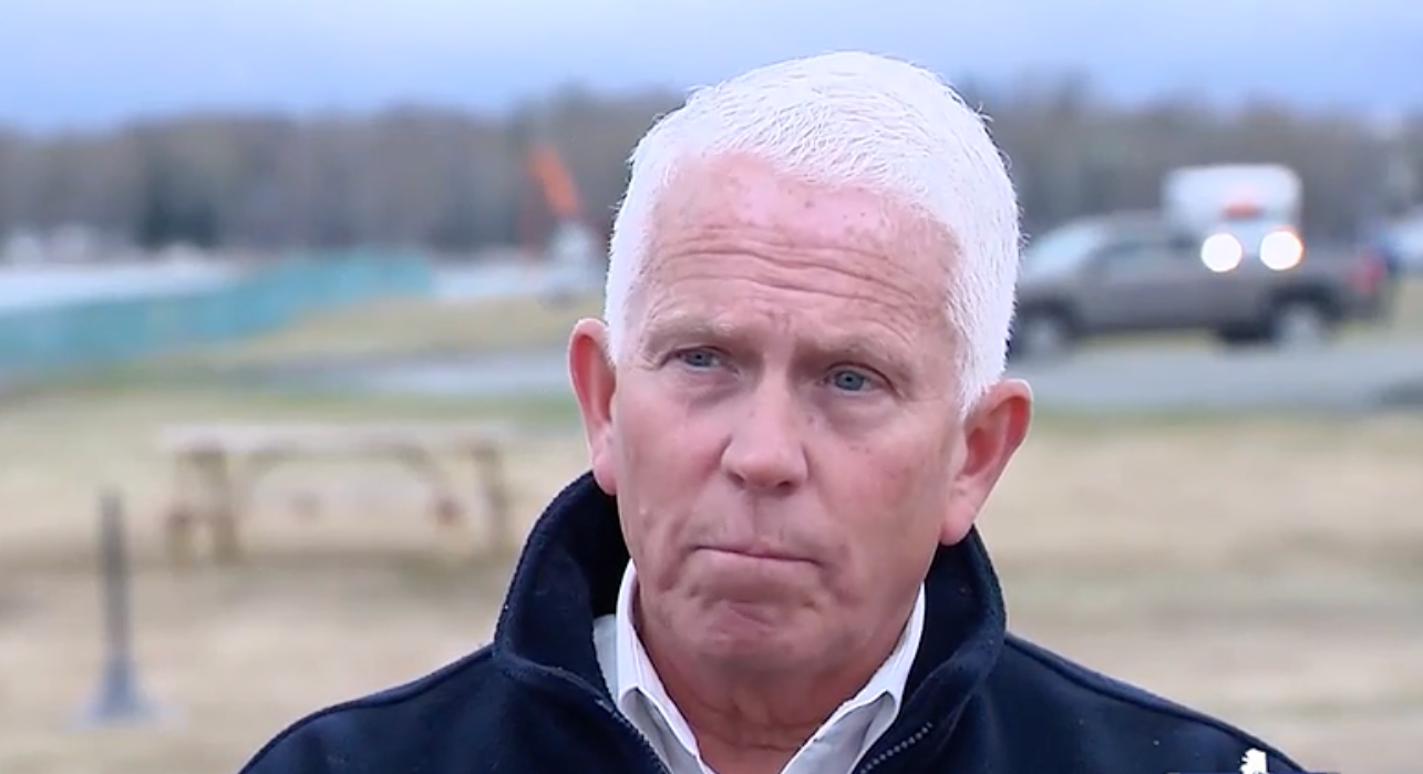 Picture of Flying With a Dog? Tips for Traveling Safely - American Kennel Club