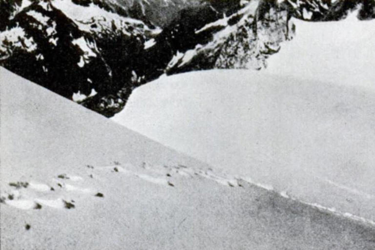 A 1937 photograph of alleged Yeti footprints in the Himalayas taken by Frank S. Smythe and printed in Popular Science . They were later found to belong to a bear. Image Source: Public Domain