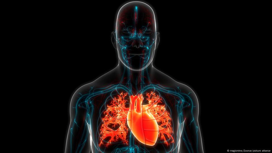 Studi Ungkap: Penggunaan Plastik Sering-Sering Bisa Bahaya untuk Jantung?