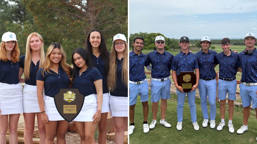 National Junior College Athletic Association visual data 8