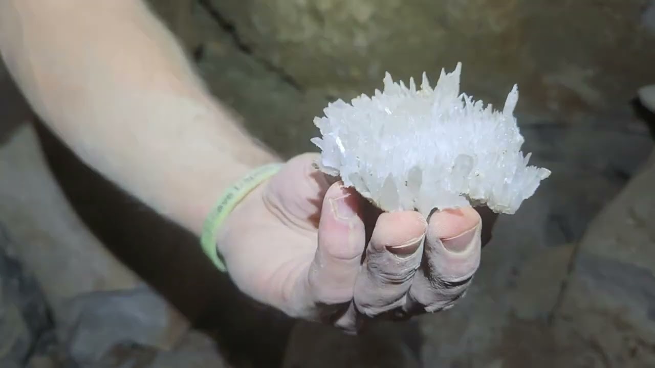 Explorers Stumble Upon a Secret Crystal Cave Beneath the Forest