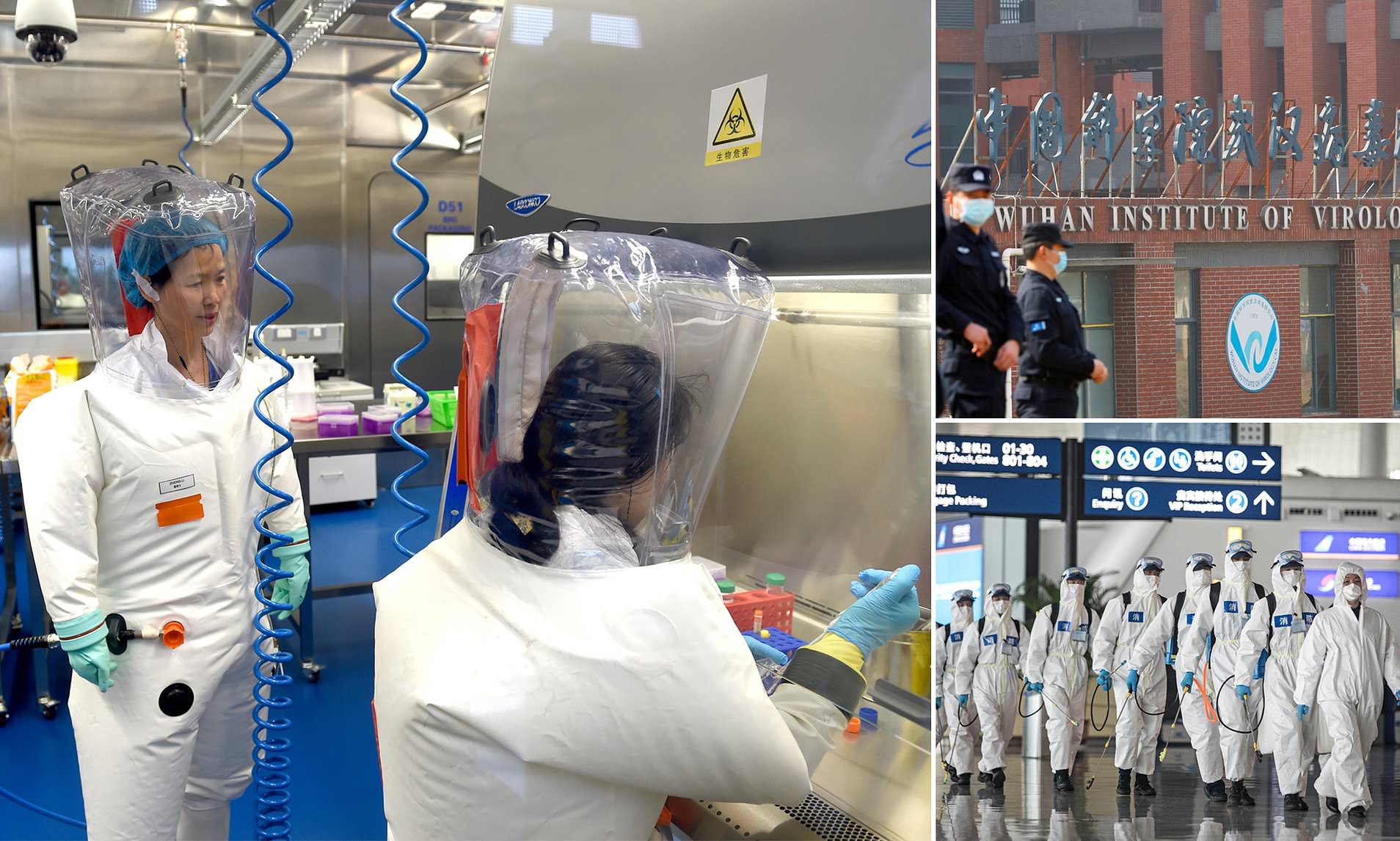 China finally reveals how Covid originated after being accused of a lab