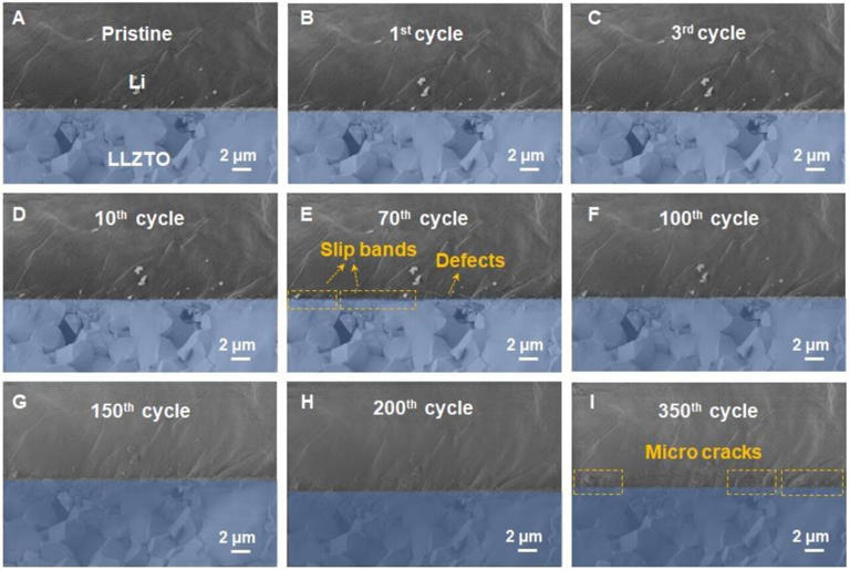 Operando SEM analysis of Li/LLZTO interface under cyclic currents. Credit: Science (2025). DOI: 10.1126/science.adq6807
