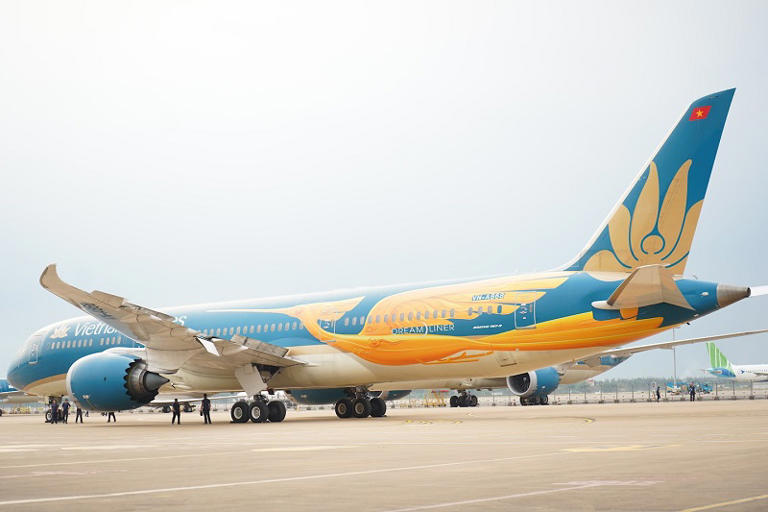 Image hình ảnh hình ảnh hình ảnh hình ảnh Inigo Martinez - Vietnam Airlines ra mắt máy bay có diện mạo đặc biệt