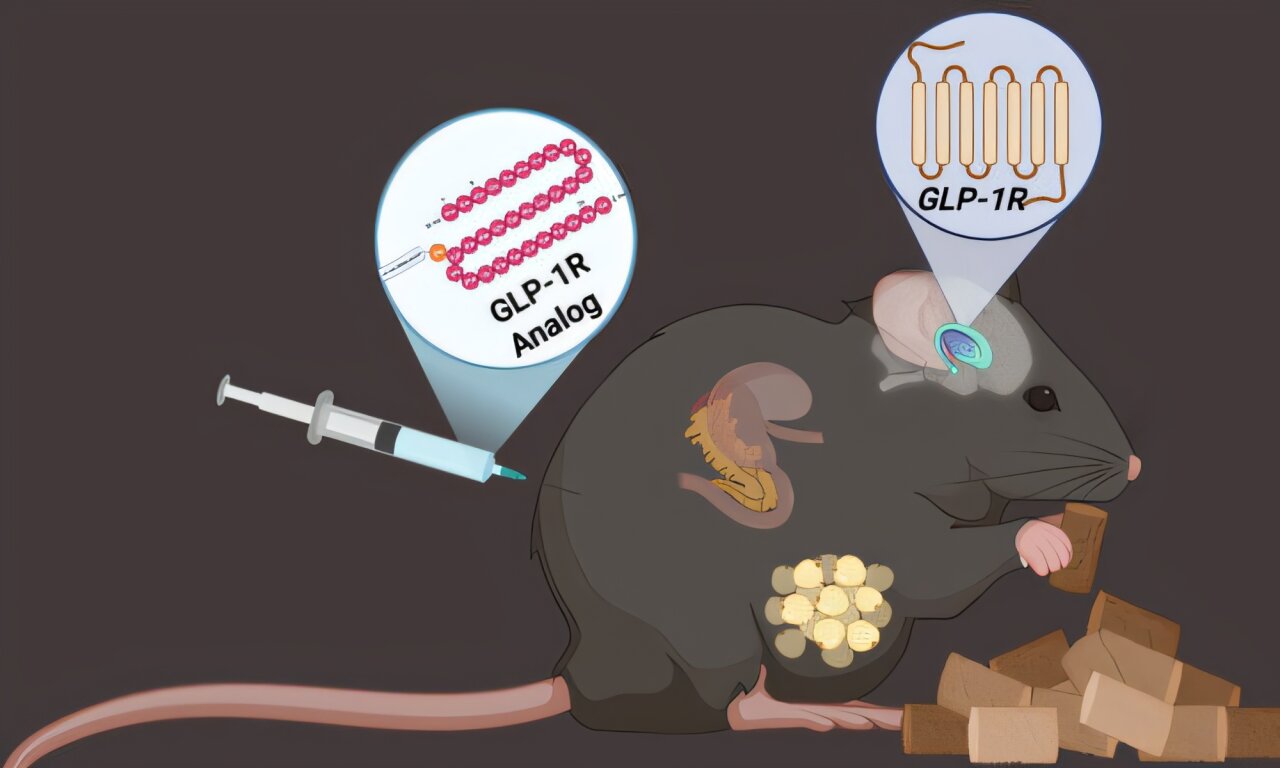 Nutritional priorities to support GLP-1 therapy for obesity: