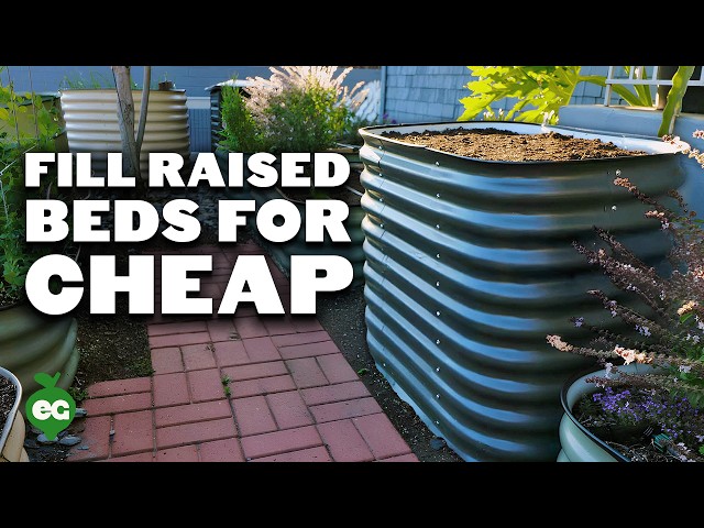 How to Fill a Raised Bed and Save - AA1DbvVq.img