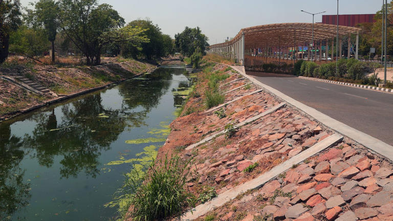 Delhi: Two years after makeover for G20 Summit, Bhairon Marg drain is in a shambles