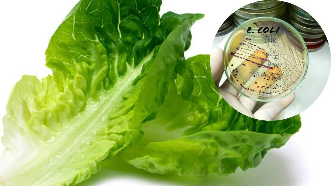 US Government Hid a Deadly E. Coli Outbreak Linked to Contaminated