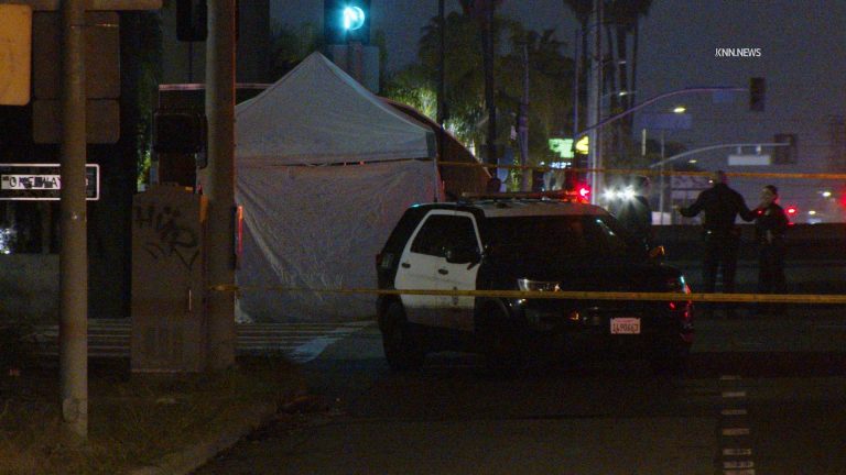 Woman killed while crossing South LA street