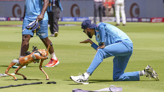 Taarak Mehta Ka Ooltah Chashmah fans are thrilled after IPL names its robot dog Champak: 'Jethalal approves this name'