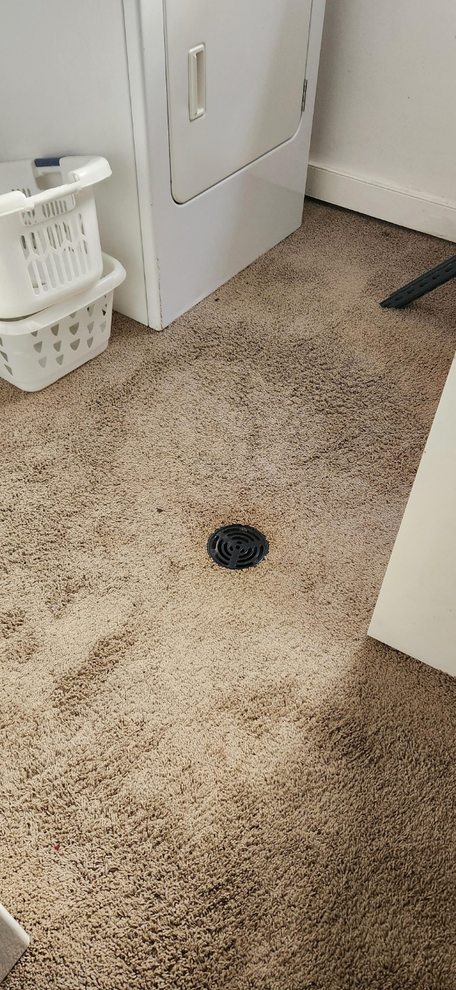 Laundry room with dryer, basket, and floor vent. Carpeted floor is visible