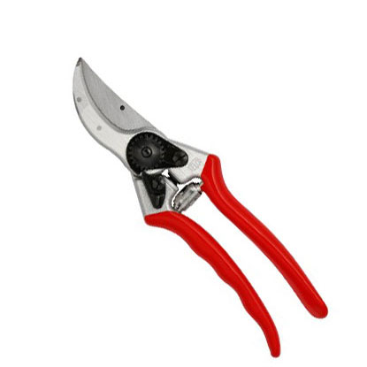 Anvil vs bypass pruning shears — which is right for you?
