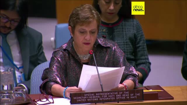 HAITI EXPLAINED WHY THE CRISIS IS DEEPENING visual data 8