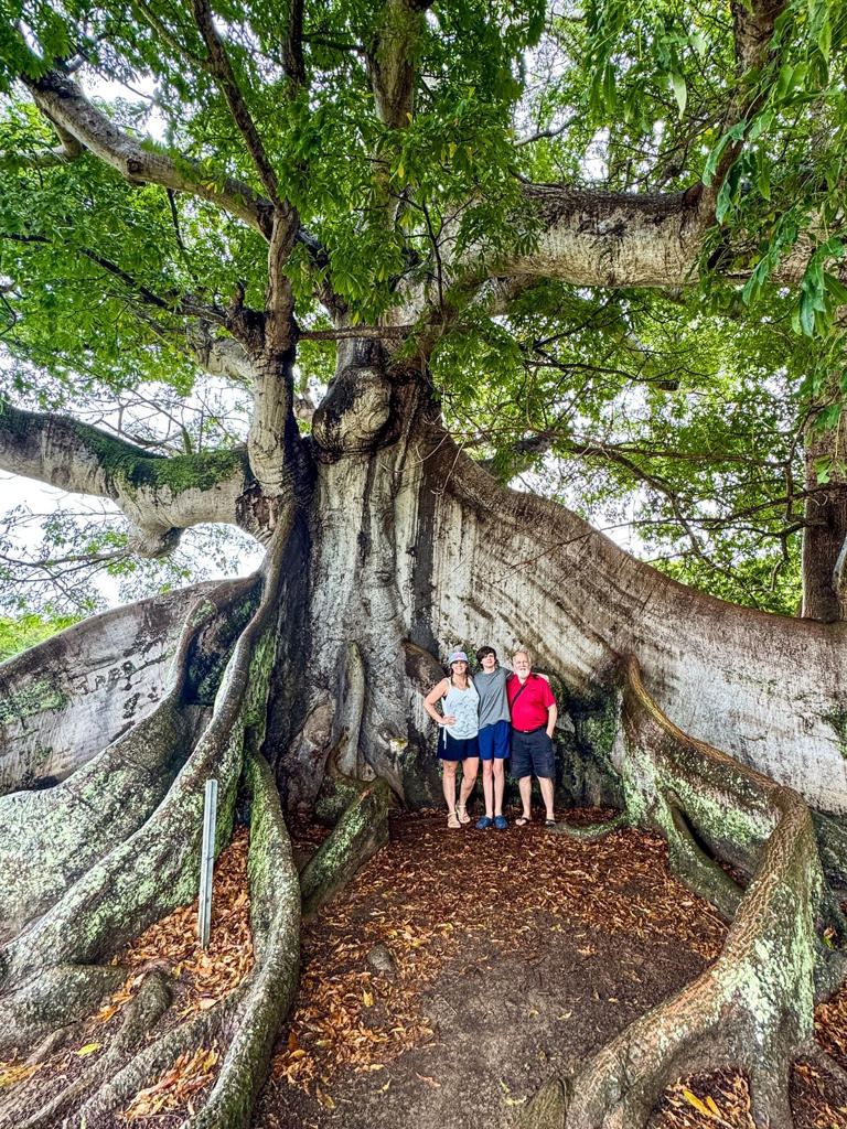 Puerto Rico beyond San Juan: El Yunque, Luquillo and East Coast
