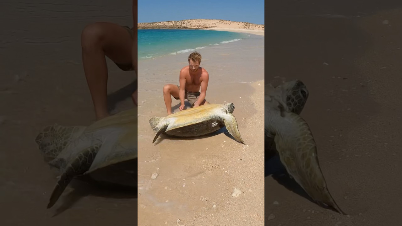 B2B Castaways Strick and Fran - MSN