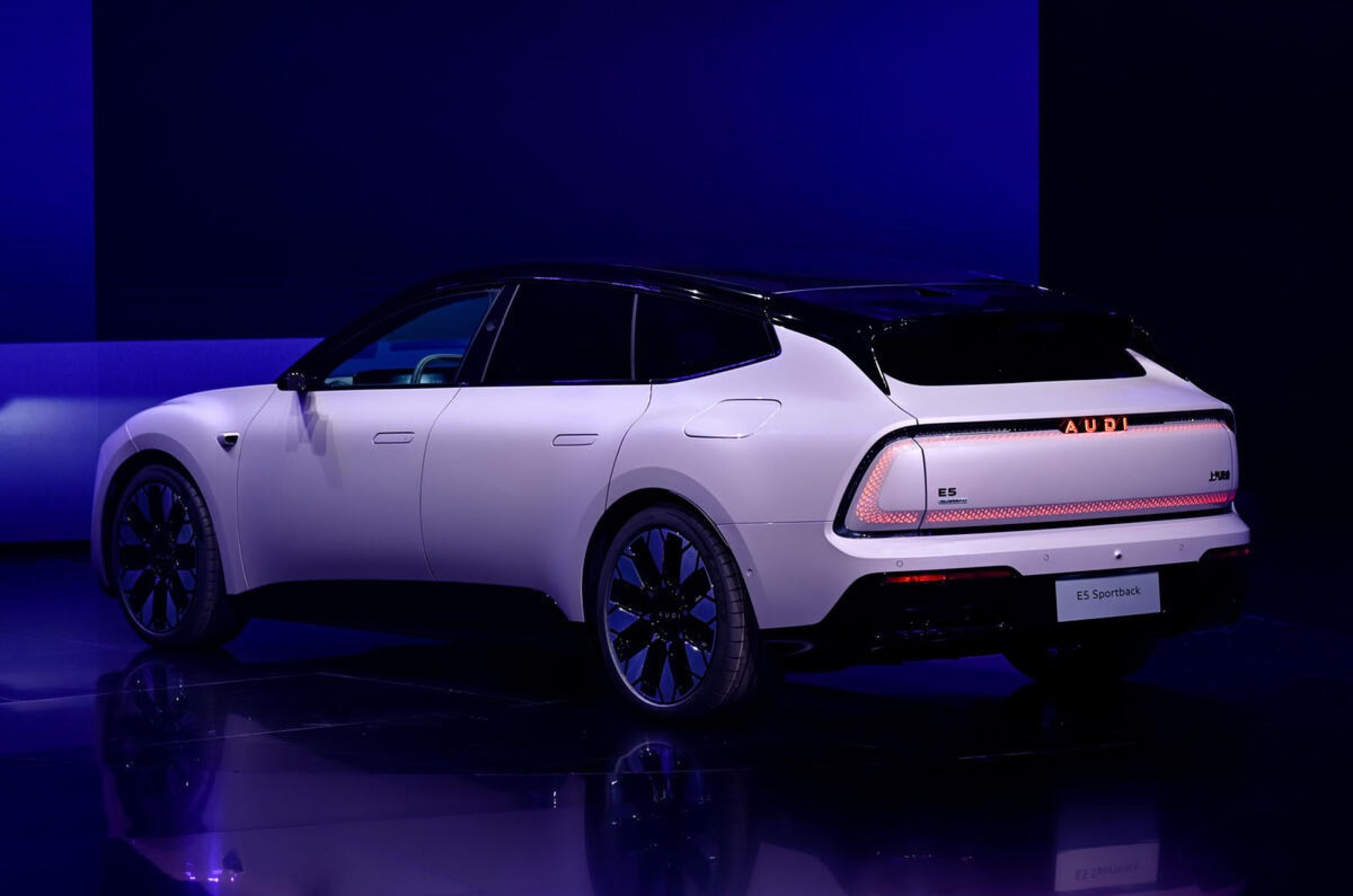 The Pope’s final words revealed by the Vatican