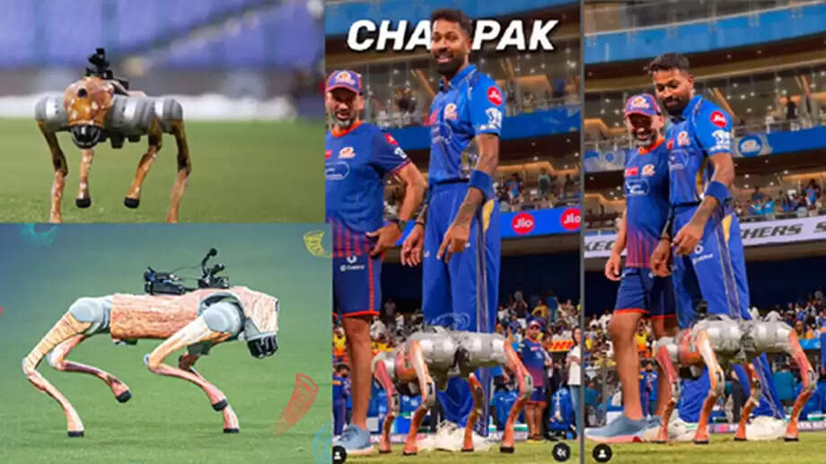 Robot Dog: What does this robot dog do on the cricket field, its name is Champak,